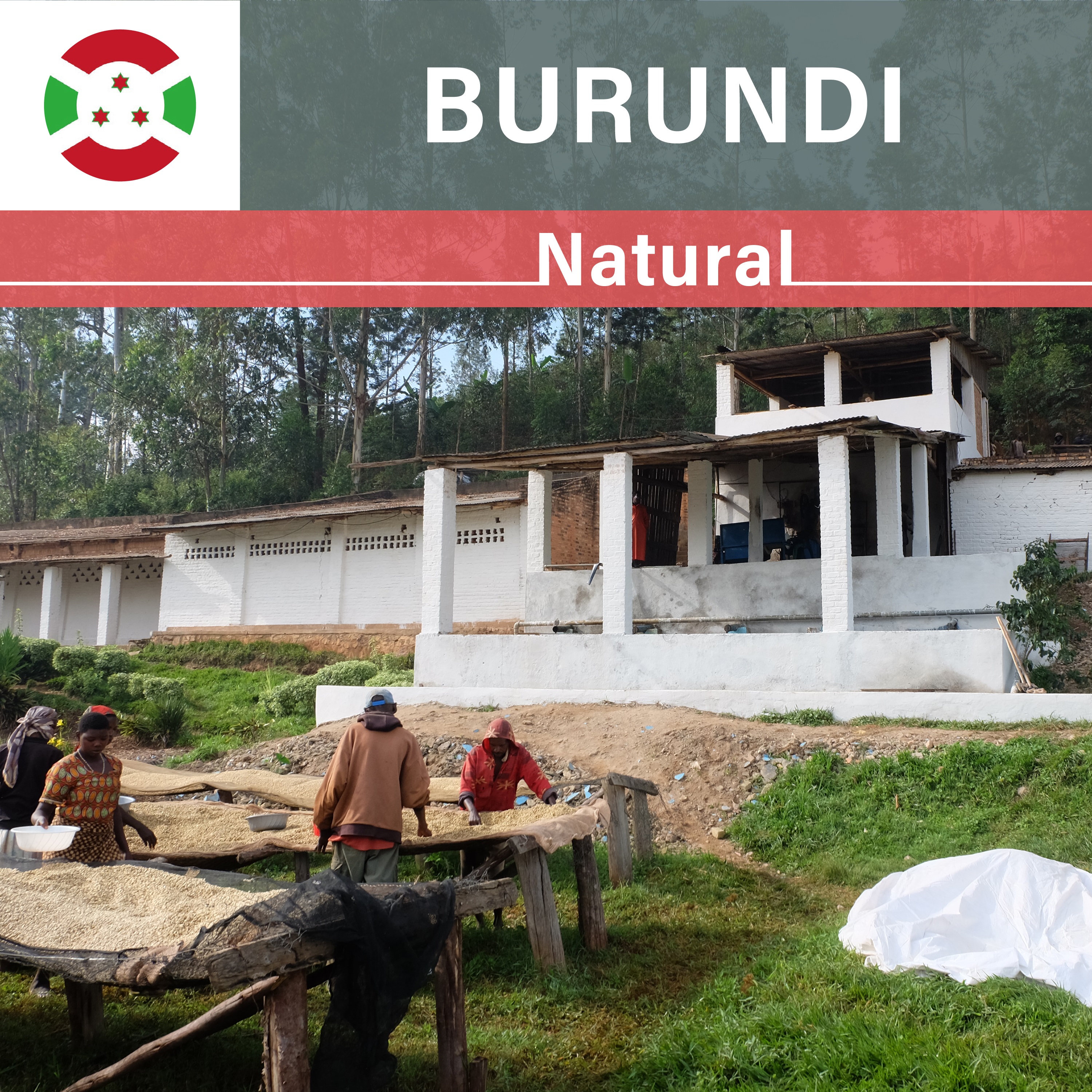 Burundi Businde Natural（21/22年クロップ）
