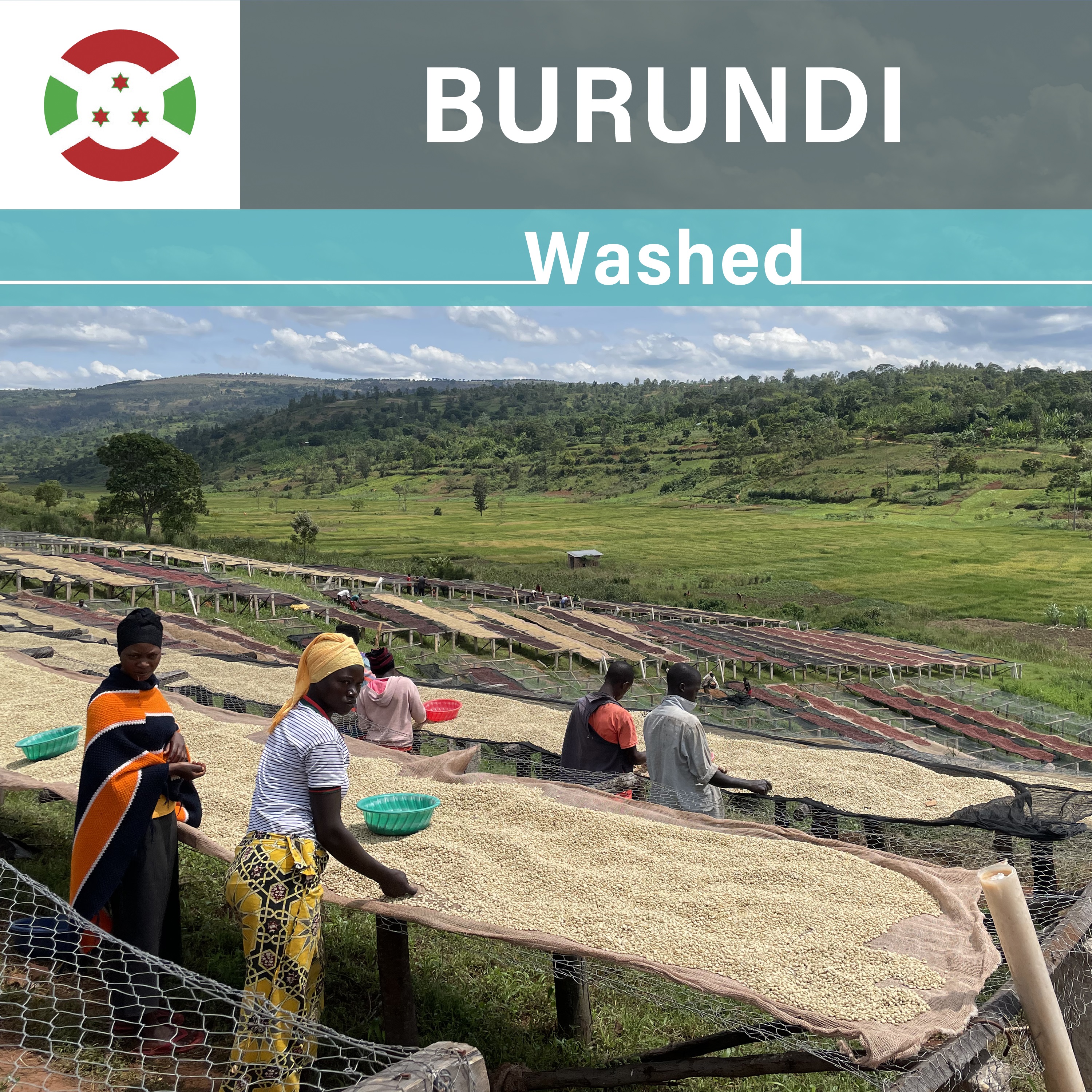Burundi Nyagishiru Washed（21/22年クロップ）