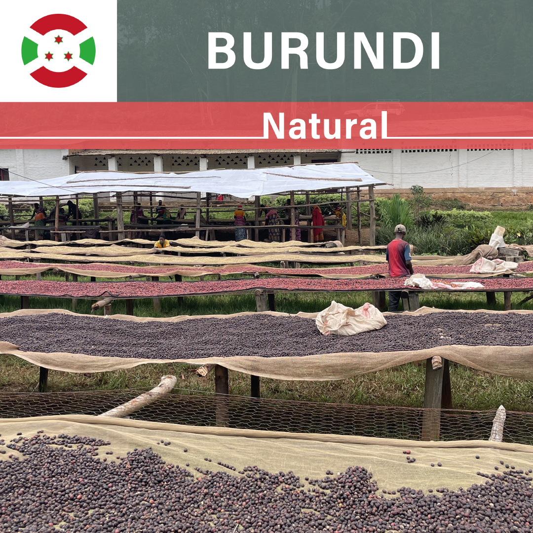 Burundi Businde WS Natural(22/23年クロップ)