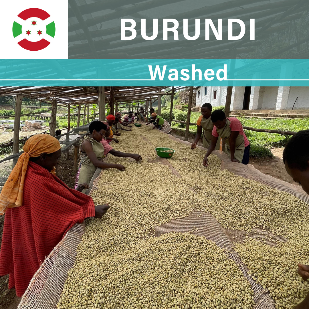 Burundi Businde WS Washed(22/23年クロップ)