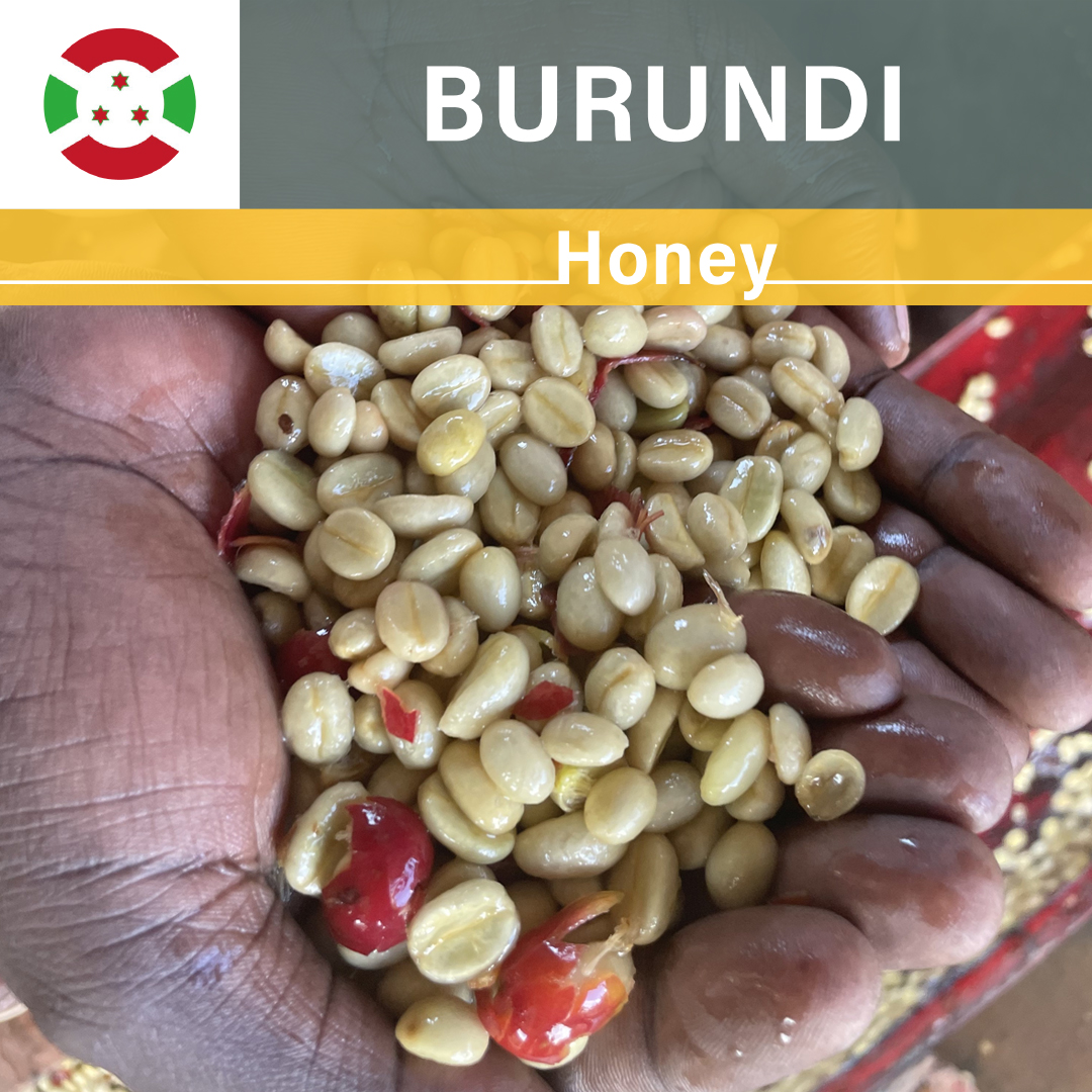 Burundi Karambo WS Honey(22/23年クロップ)