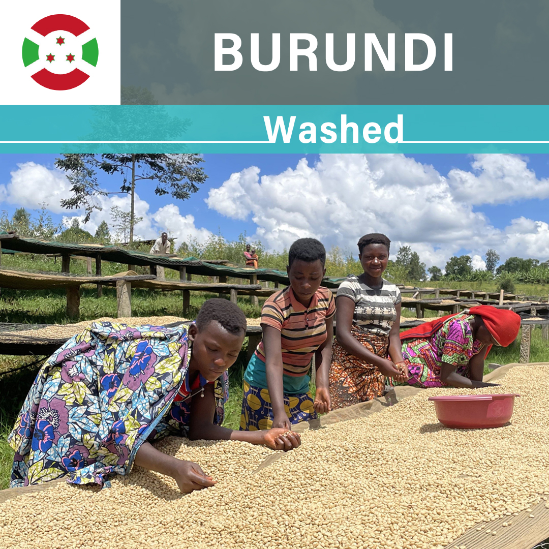 Burundi Nyagishiru WS Washed(22/23年クロップ)