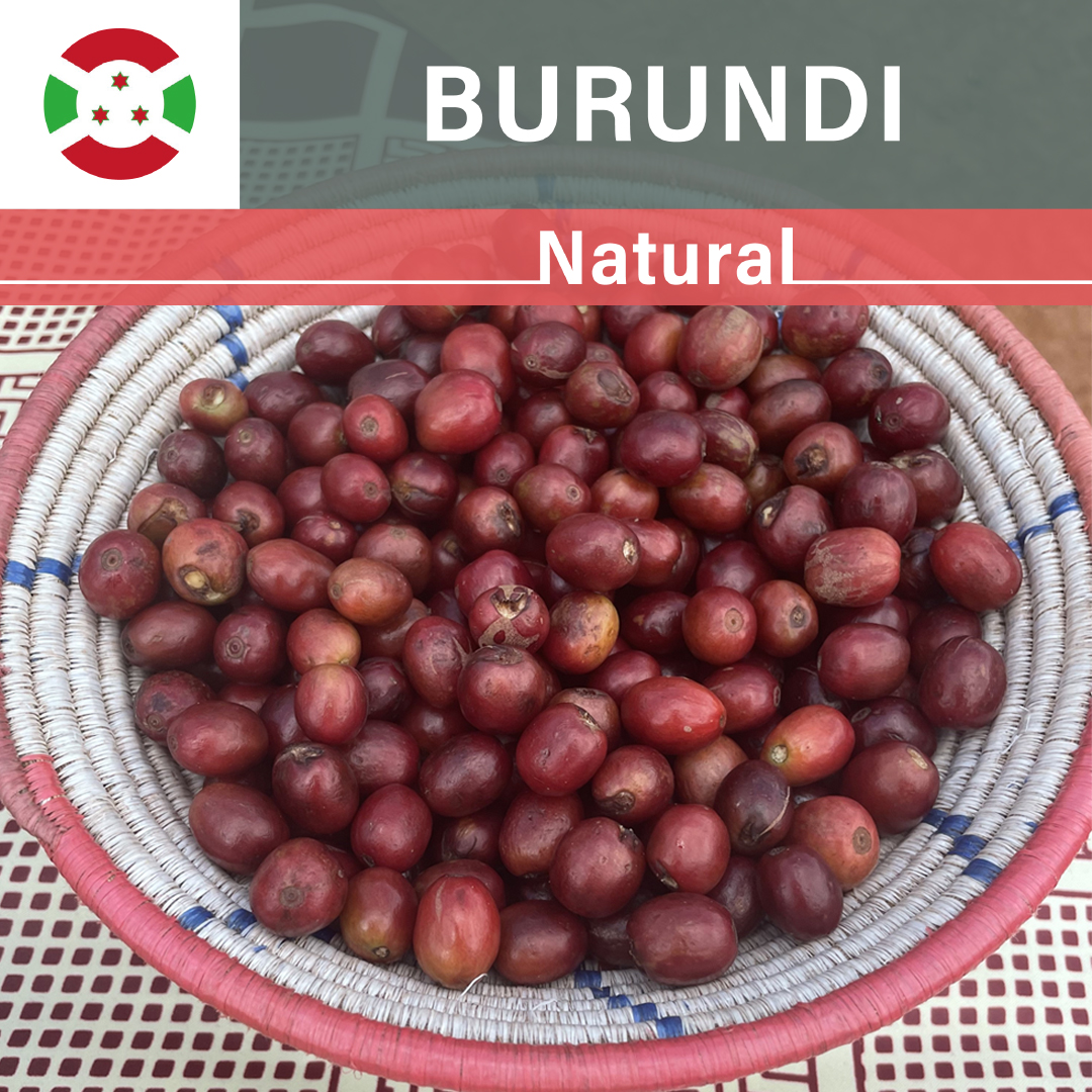 Burundi Nyagishiru WS Natural(22/23年クロップ)