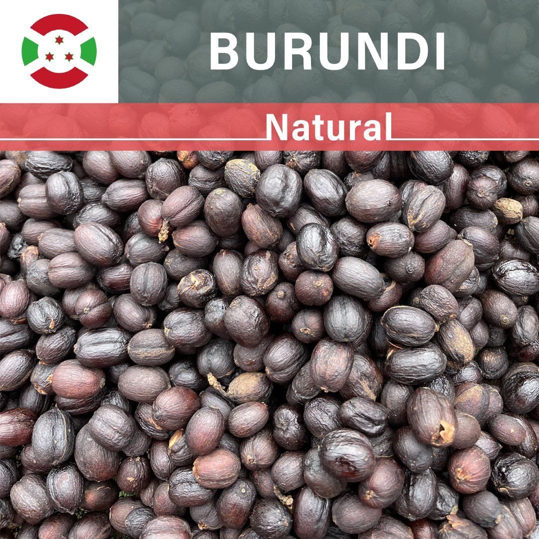 Burundi Karambo WS Natural(22/23年クロップ)