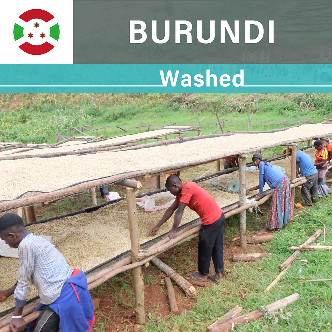 Burundi Karambo Washed(23/24年クロップ)