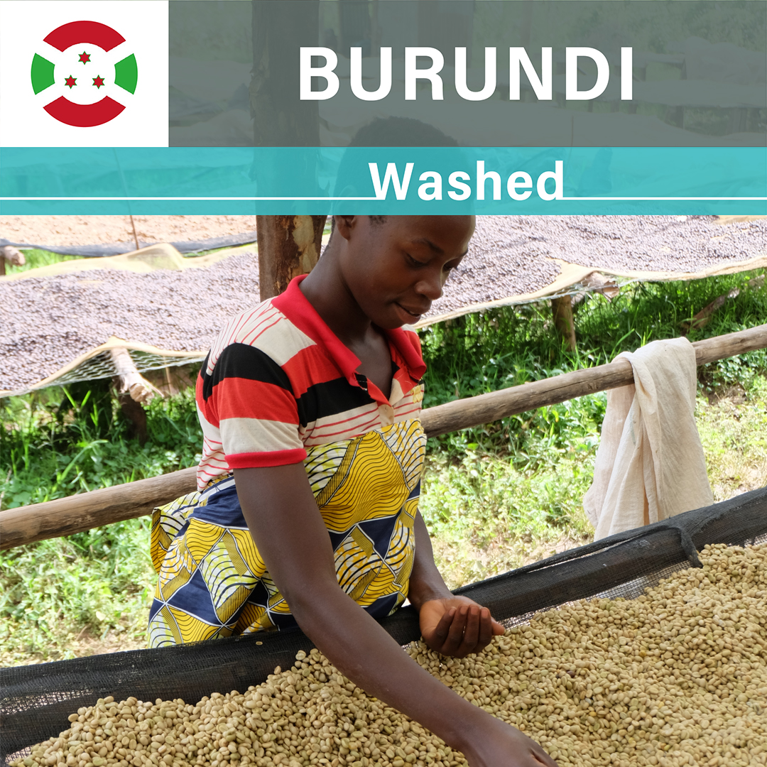 Burundi Businde Washed(23/24年クロップ)