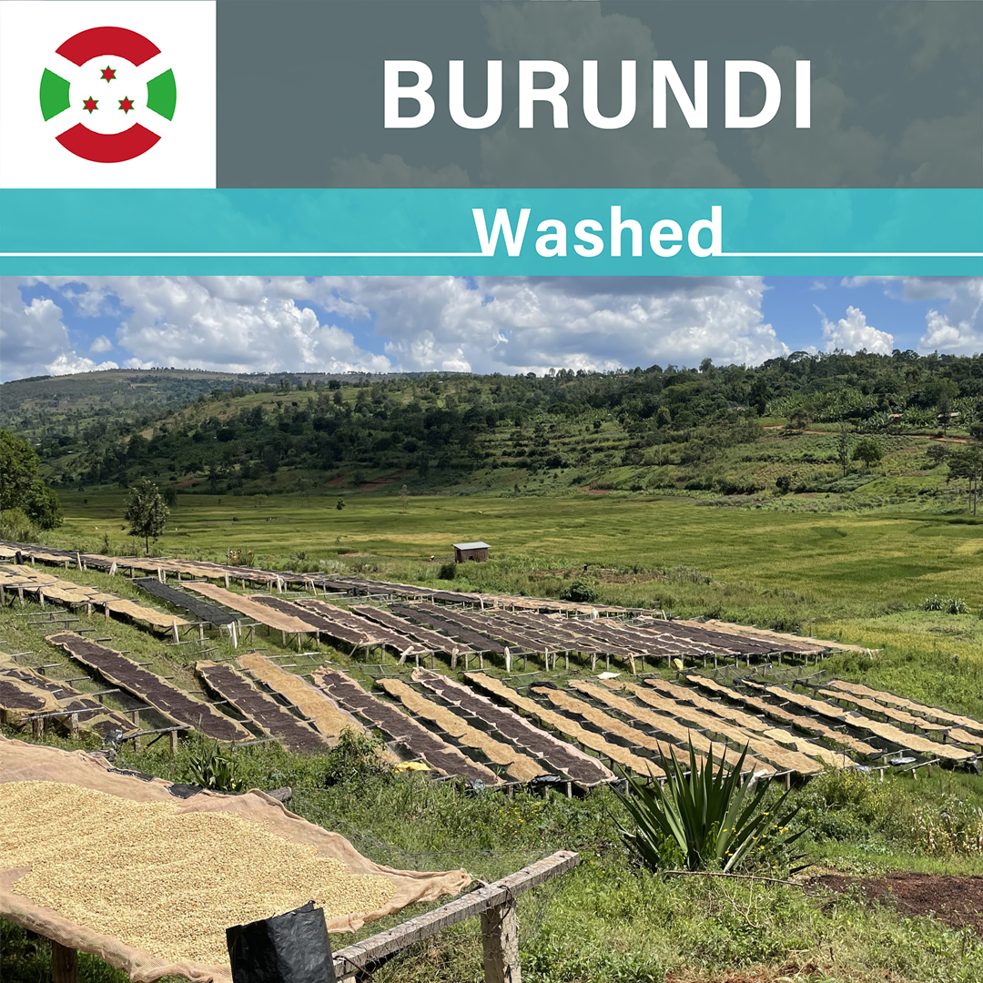 Burundi Nyagishiru Washed(23/24年クロップ)