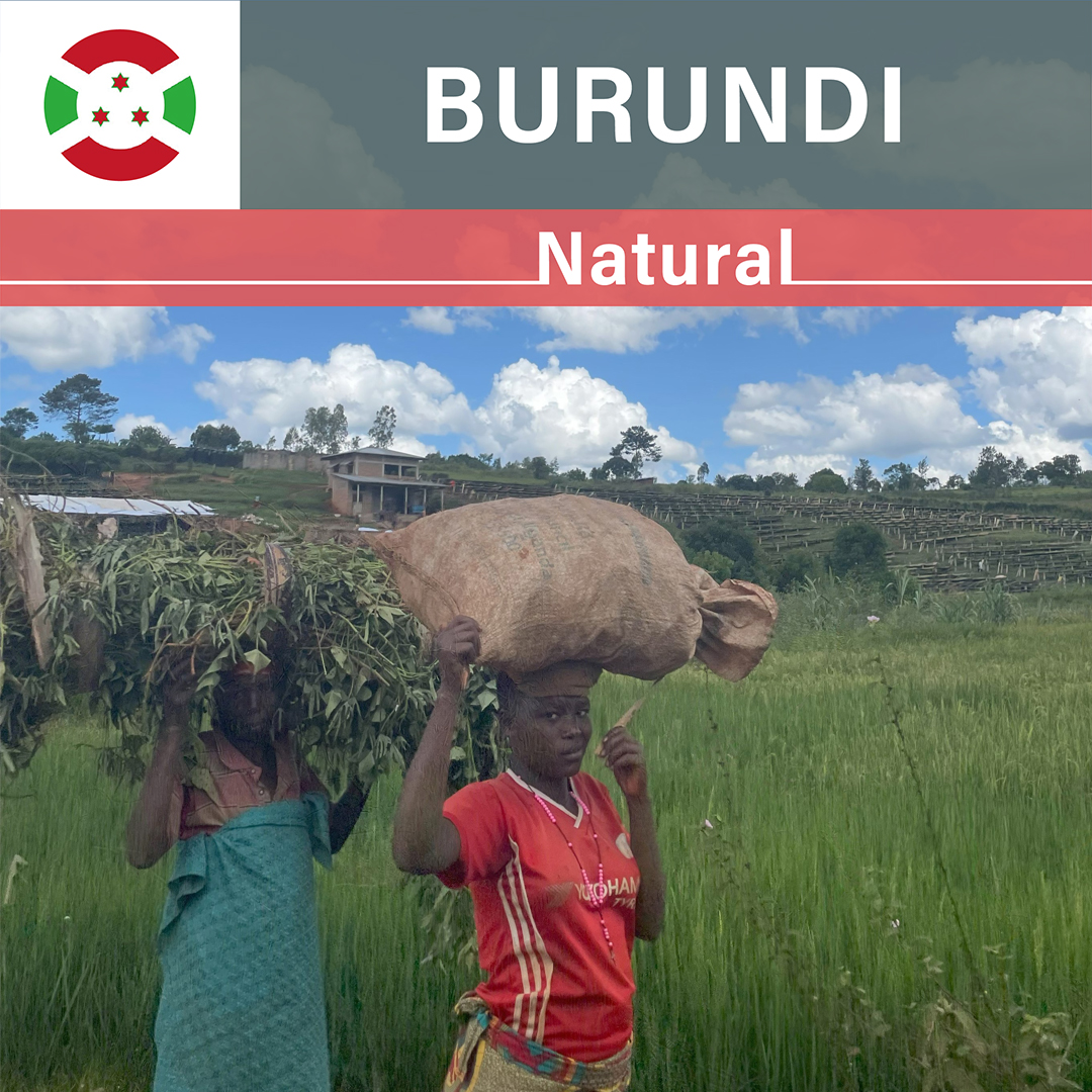 Burundi Nyagishiru Natural(23/24年クロップ)