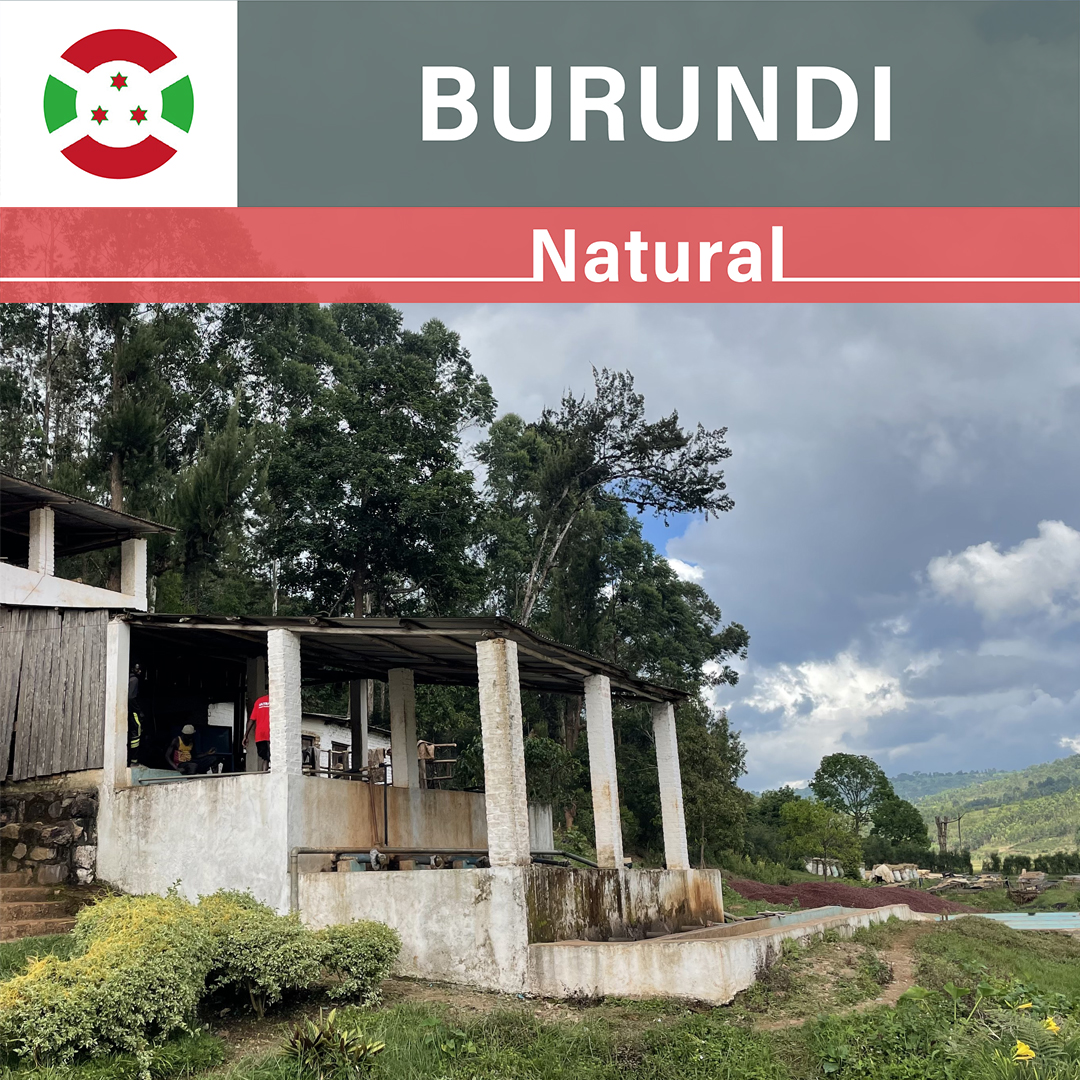 Burundi Businde Natural(23/24年クロップ)
