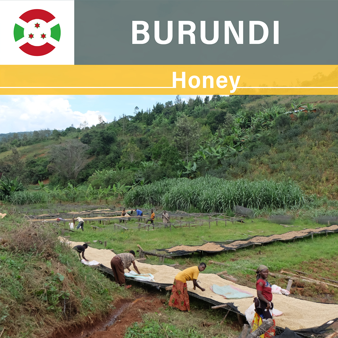 Burundi Karambo Honey(23/24年クロップ)