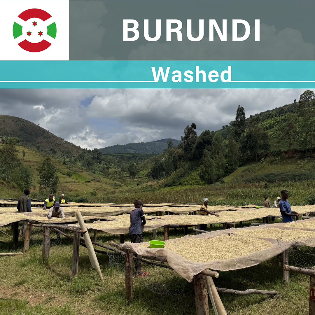 Burundi Kayave Washed(24/25年クロップ)