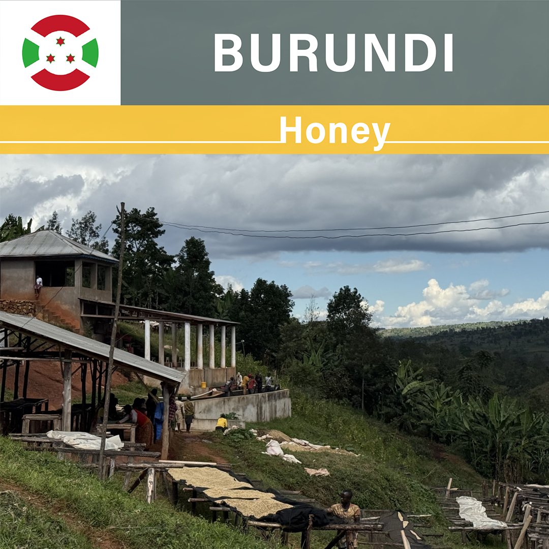 Burundi Karambo Honey(24/25年クロップ)