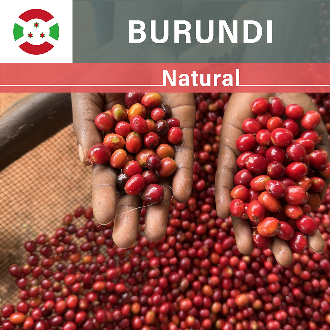 Burundi Karambo Natural(24/25年クロップ)