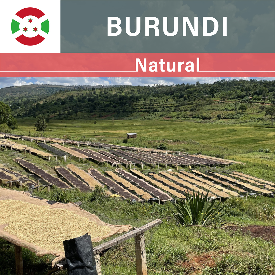 Burundi Nyagishiru Natural(24/25年クロップ)
