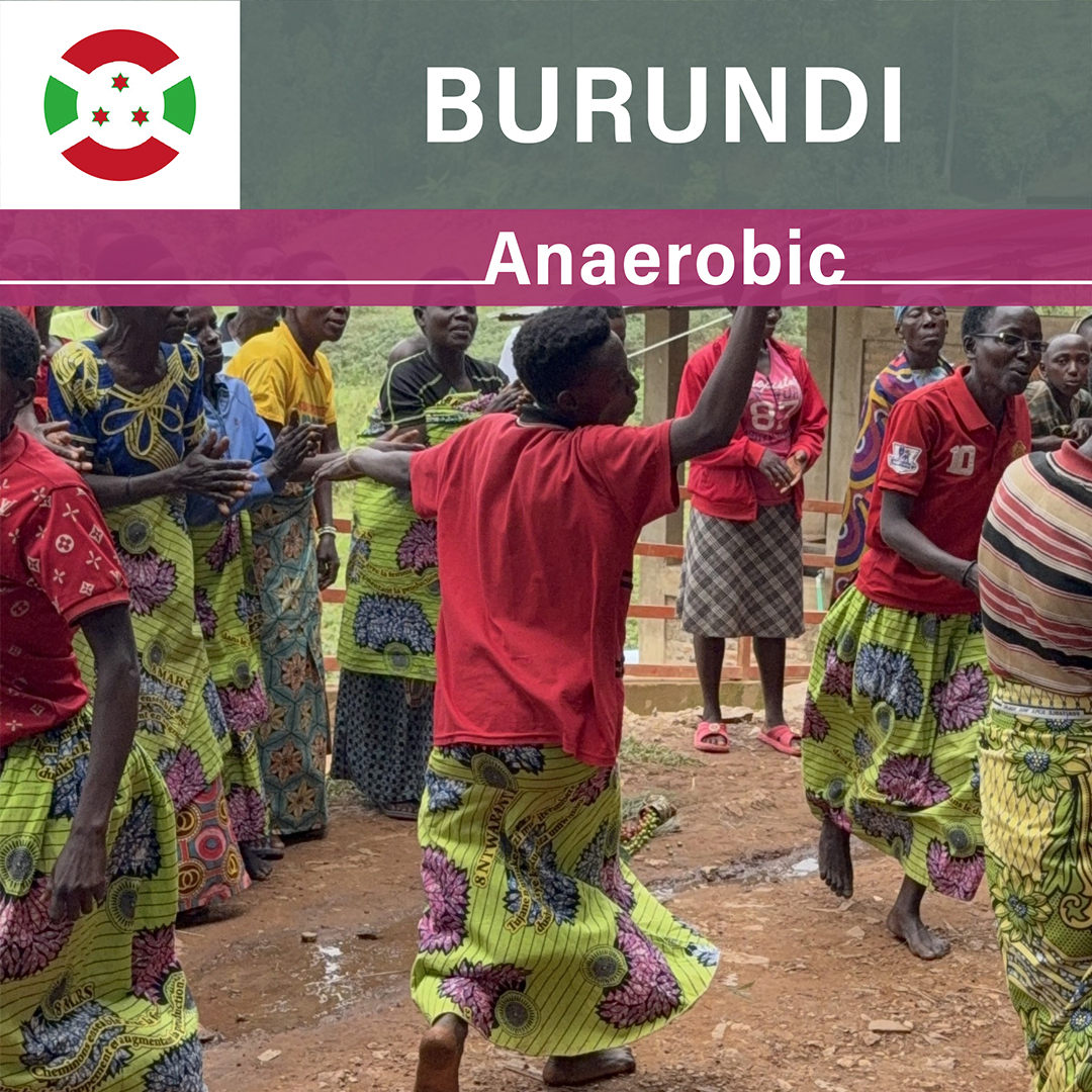 Burundi Kayave Anaerobic Natural(24/25年クロップ)