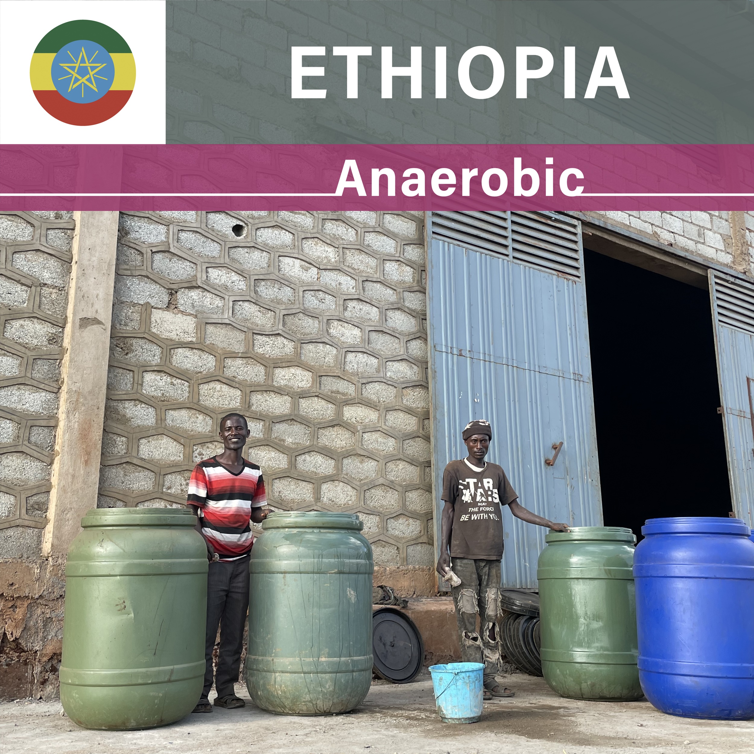 Ethiopia Benti Nenka Anaerobic Natural(22/23年クロップ)