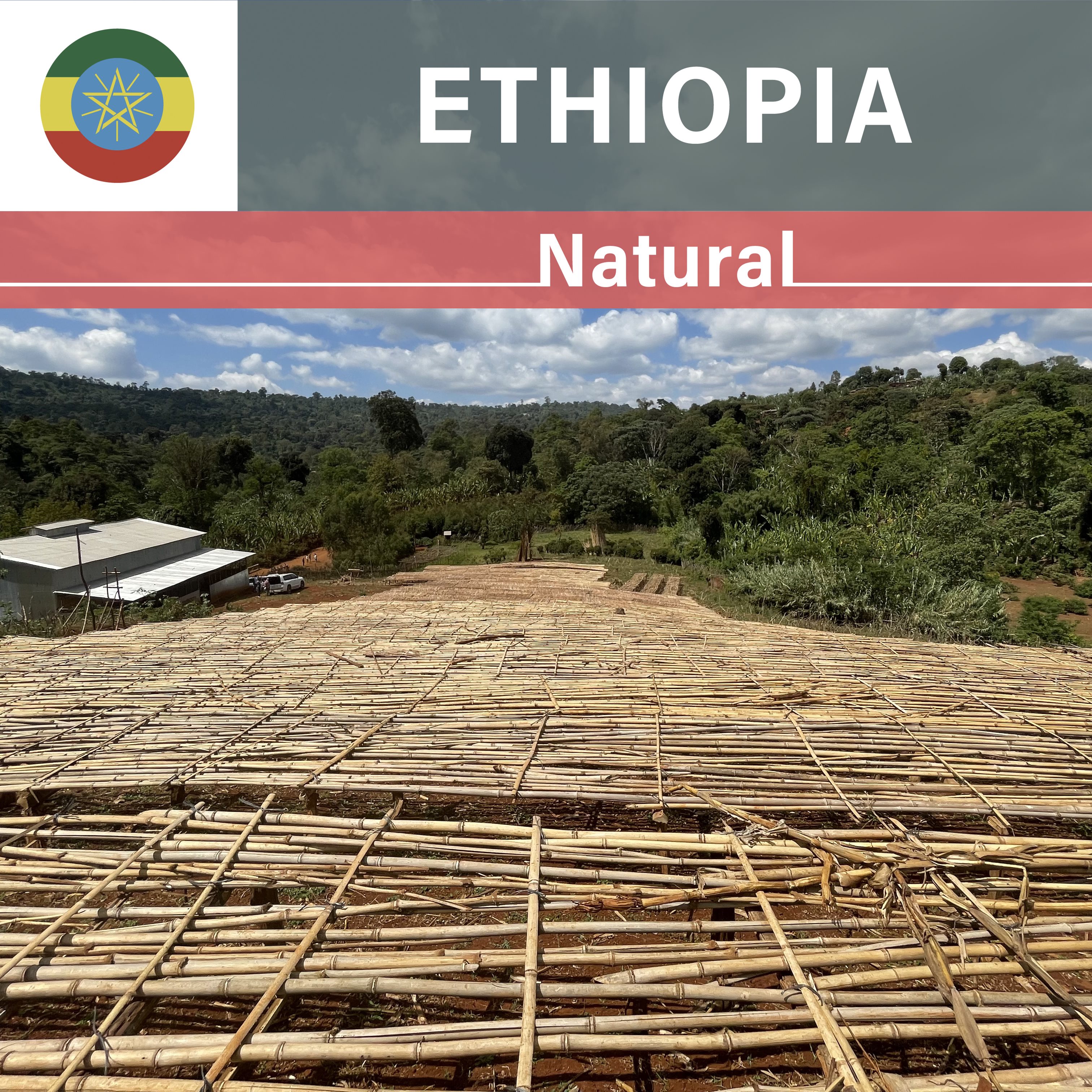 Ethiopia Gotiti Geri WS Natural(22/23年クロップ)