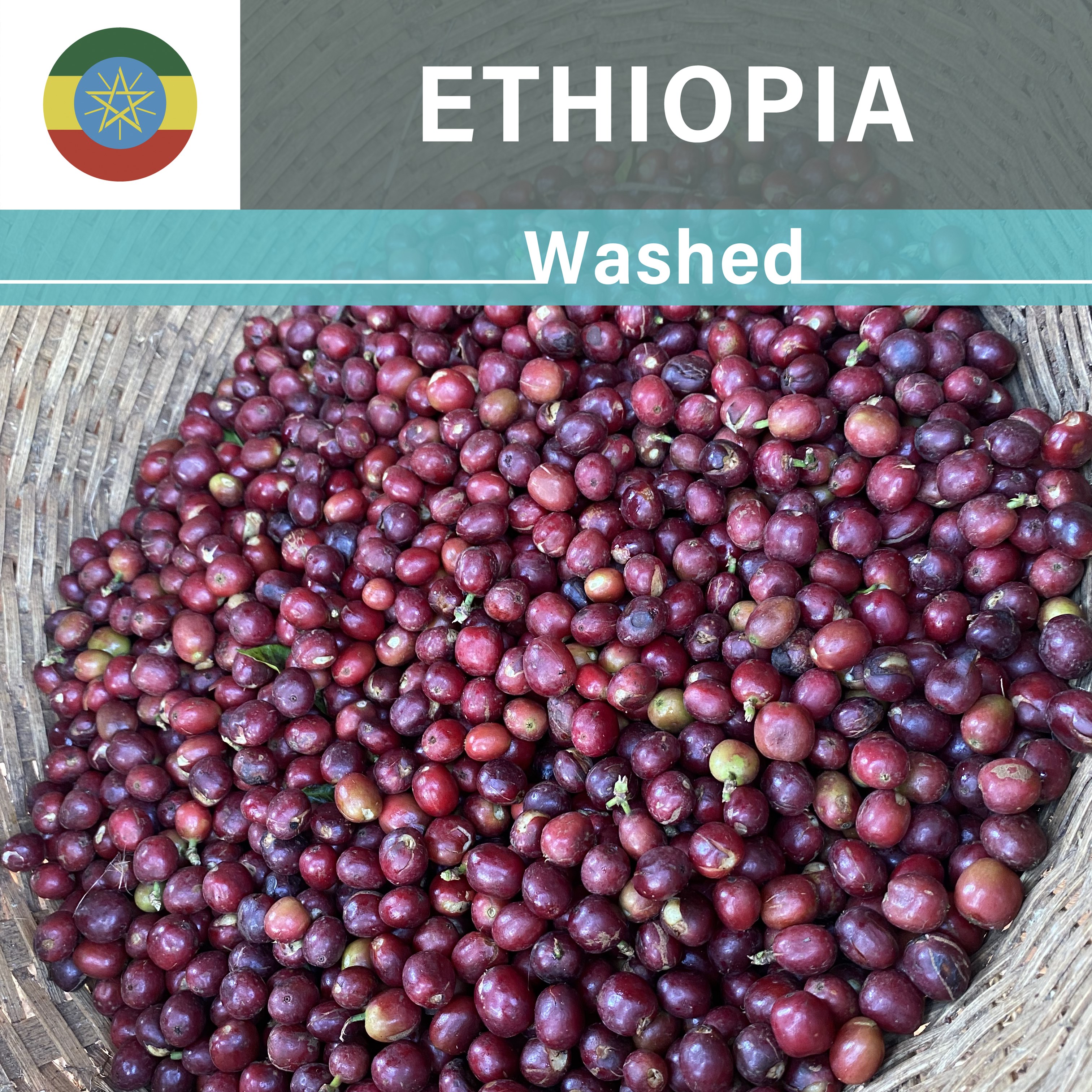 Ethiopia Gotiti Reku WS Washed(22/23年クロップ)