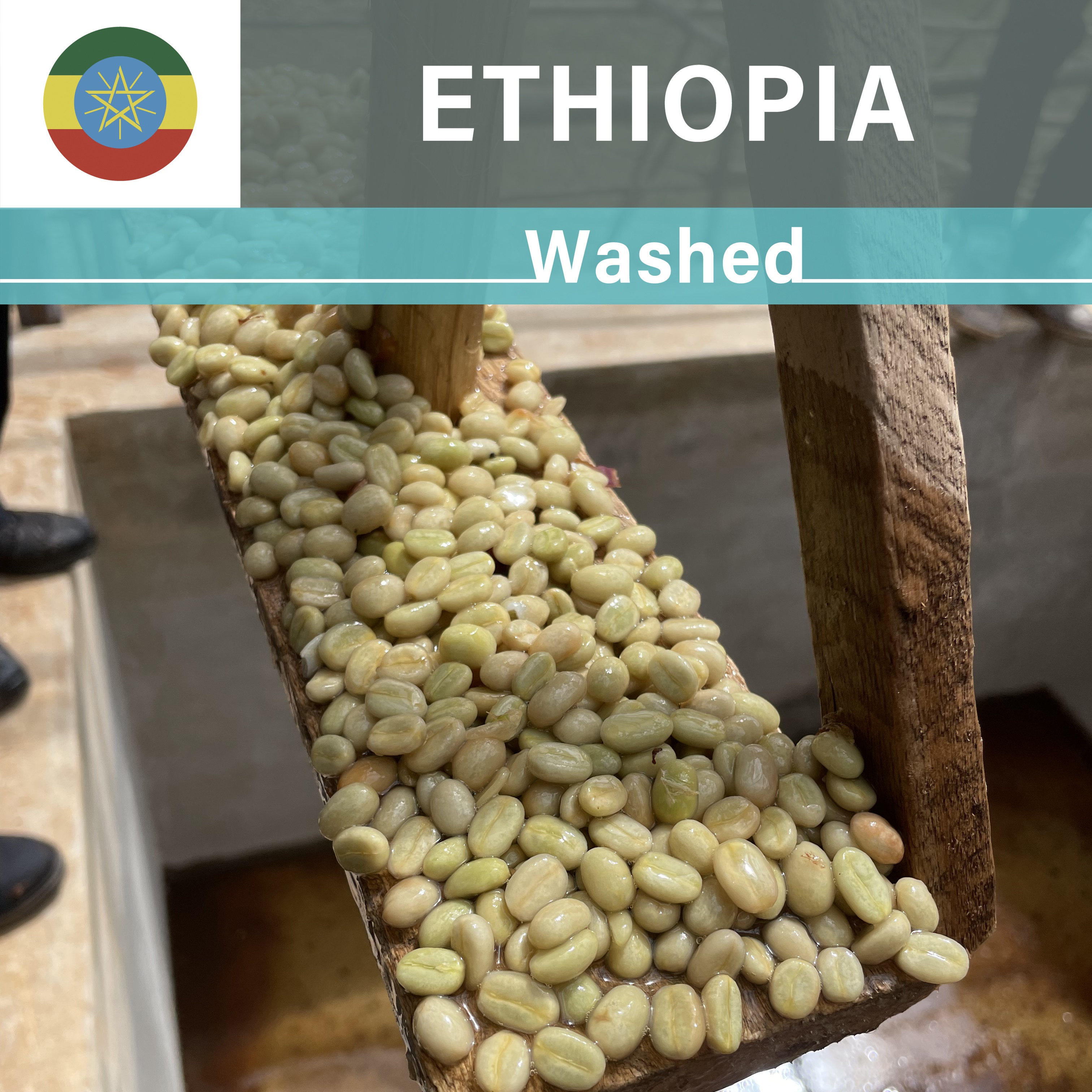 Ethiopia Taratu Washed(22/23年クロップ)