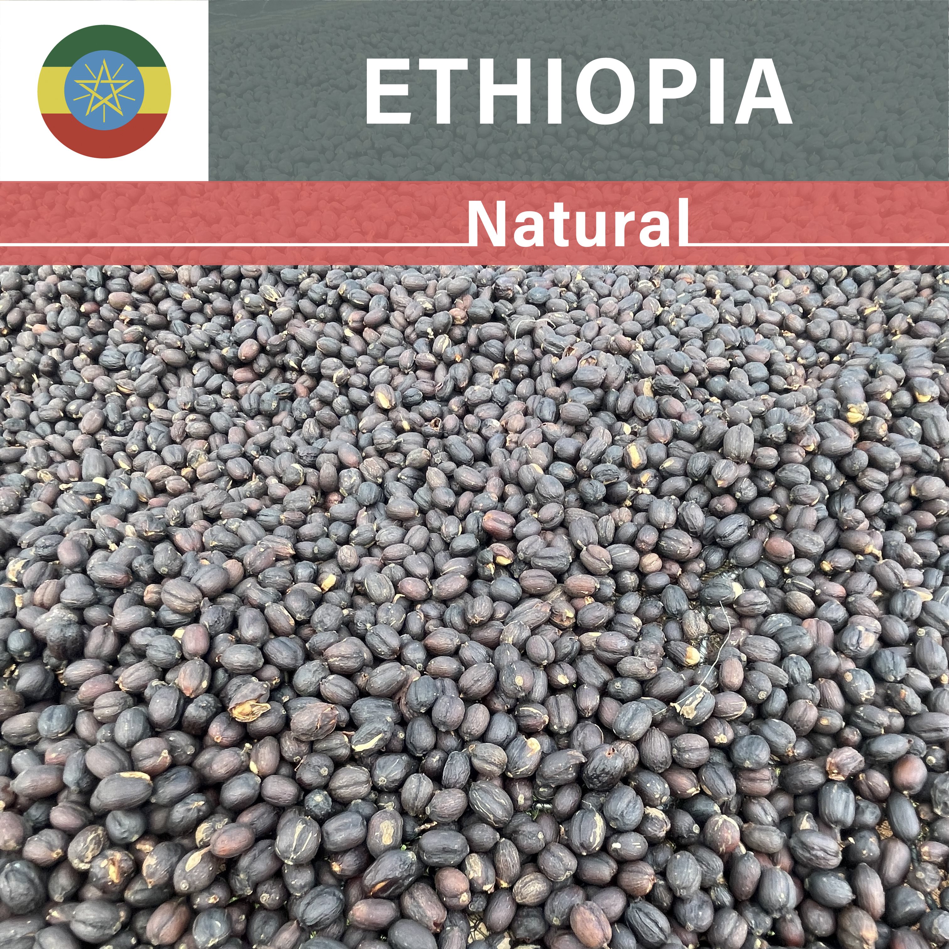 Ethiopia Morke Natural(22/23年クロップ)