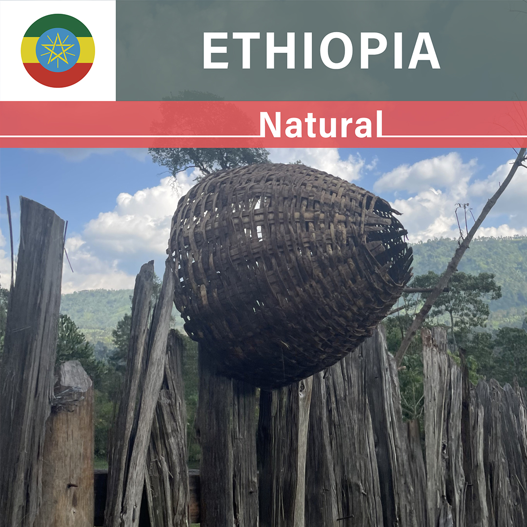 Ethiopia Halata Natural(23/24年クロップ)