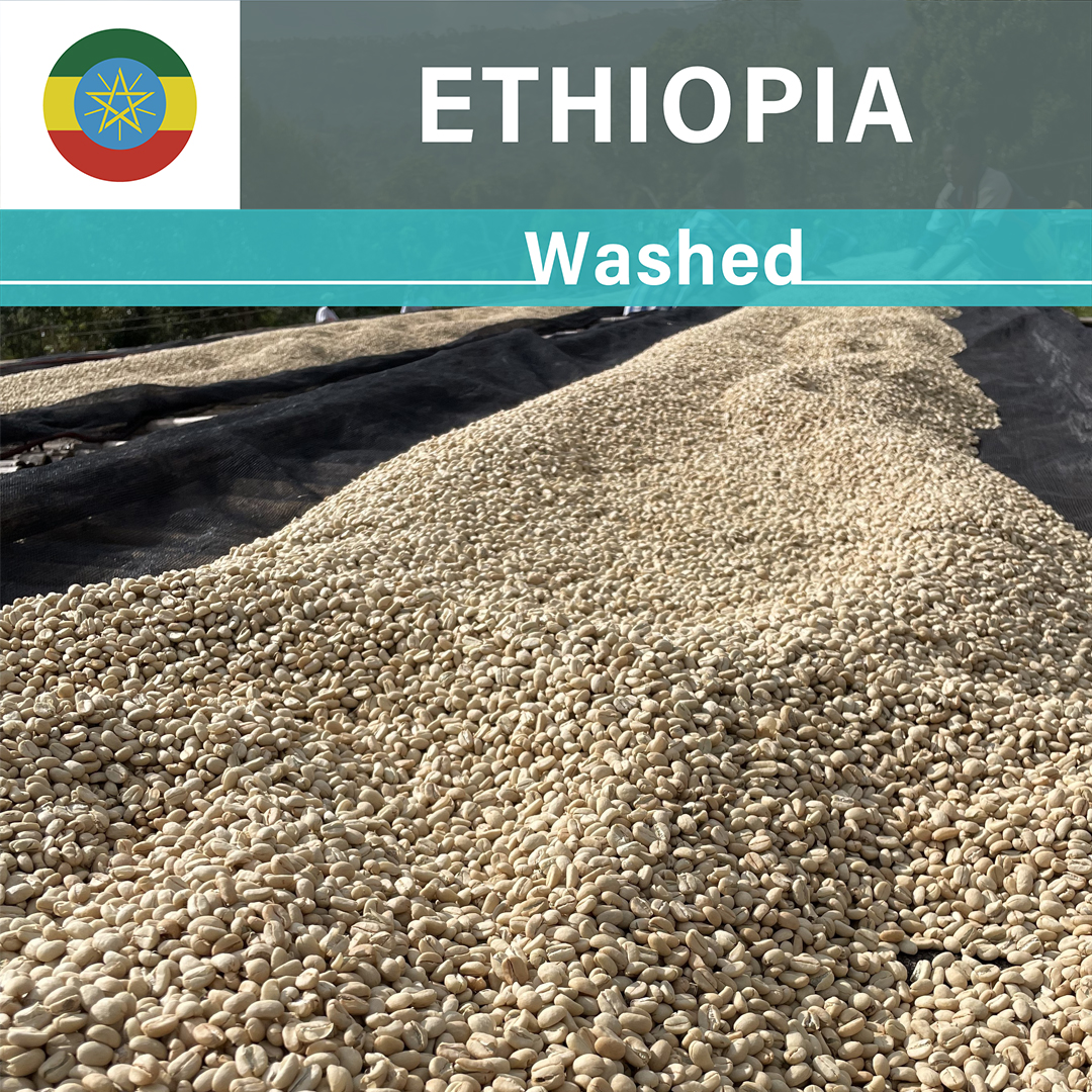 Ethiopia Karamo Washed(24/25年クロップ)