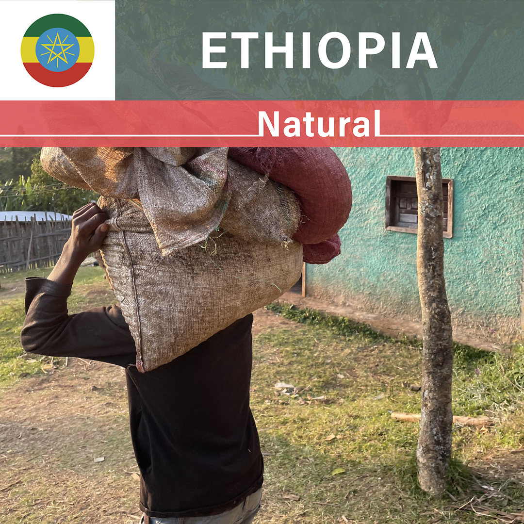 Ethiopia Sidama G3 Natural(24/25年クロップ)