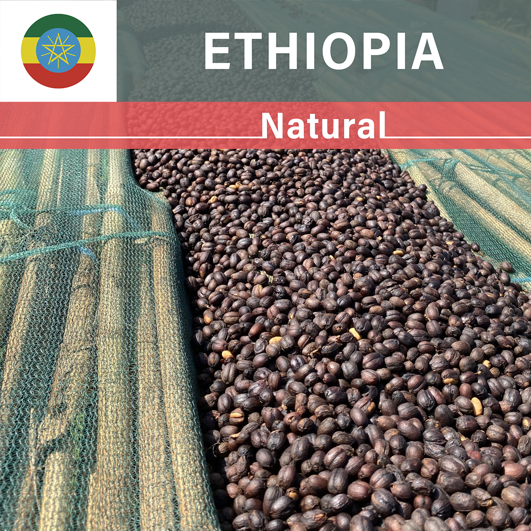 Ethiopia Silinga Natural(24/25年クロップ)