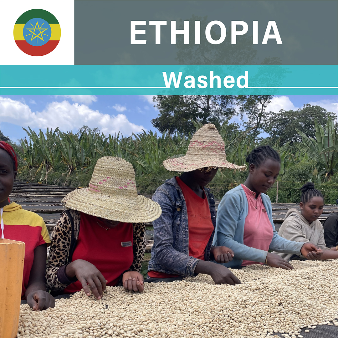 Ethiopia Taratu Washed(24/25年クロップ)