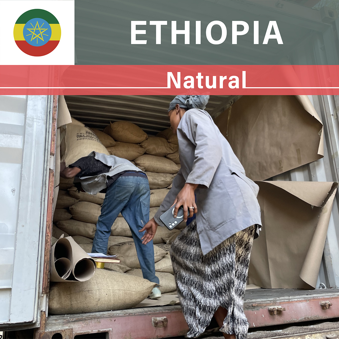 Ethiopia Yirgacheffe G4 Natural(24/25年クロップ)