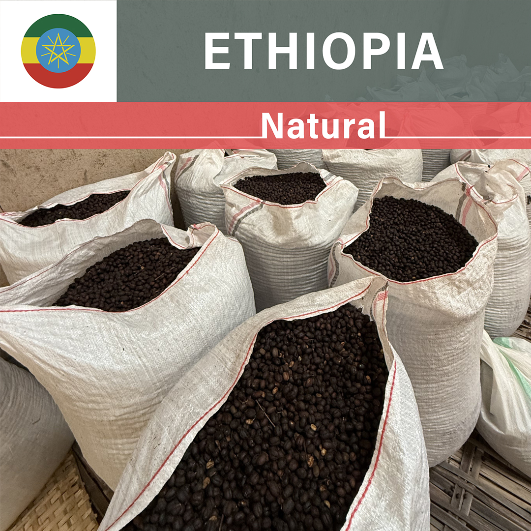 Ethiopia Guji G3 Natural(24/25年クロップ)
