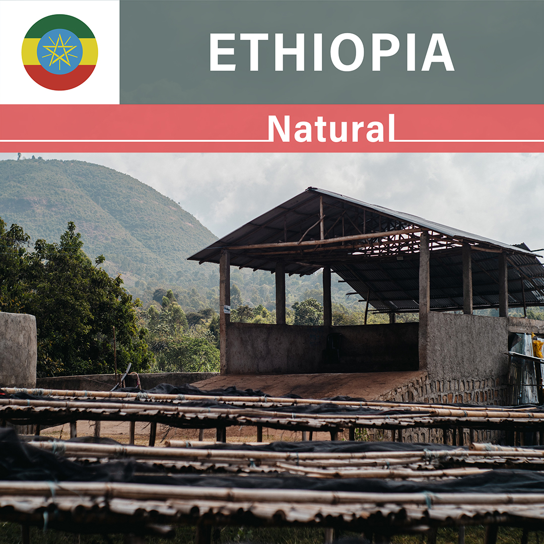 Ethiopia Silinga Natural(25/26年クロップ)