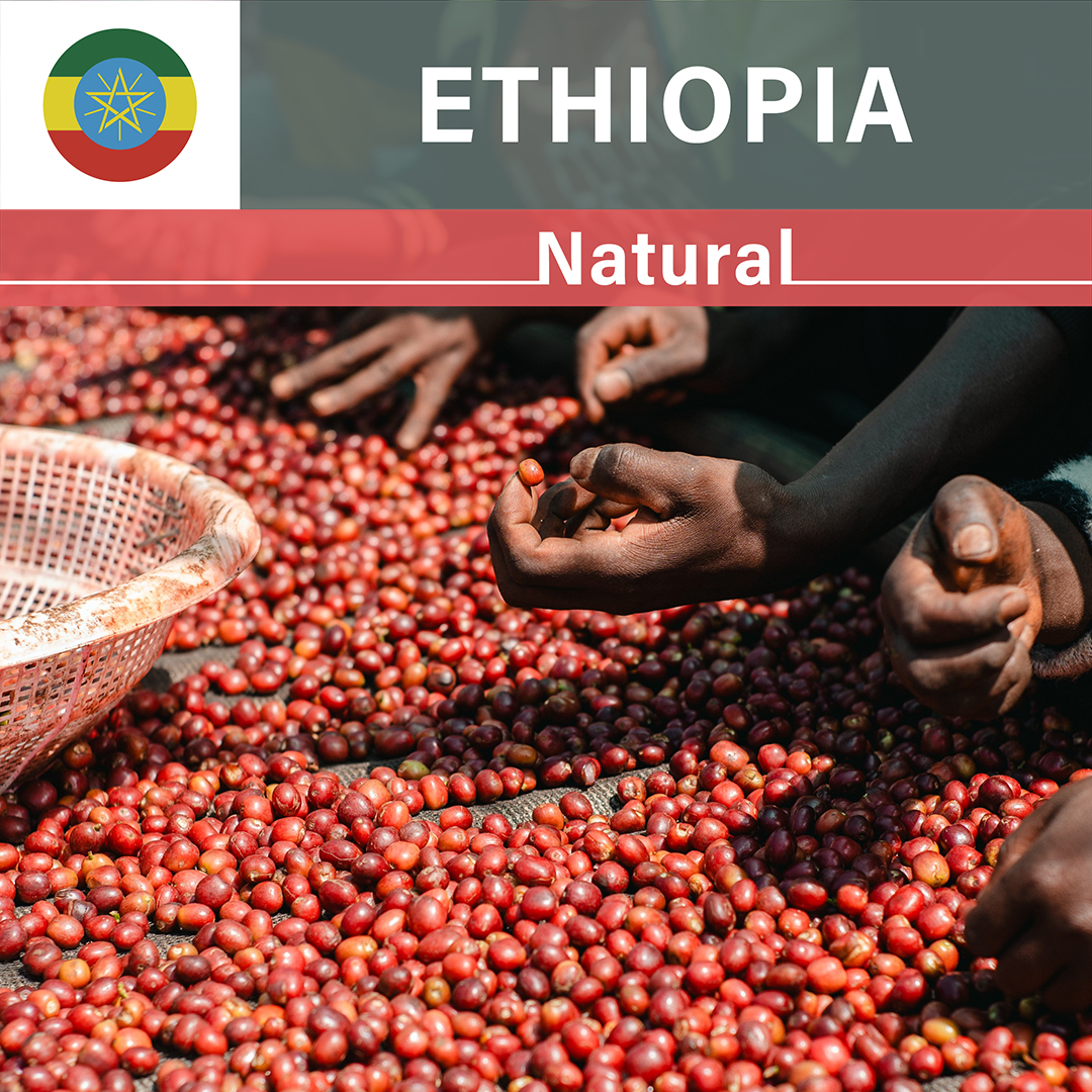 Ethiopia Karamo Natural(25/26年クロップ)
