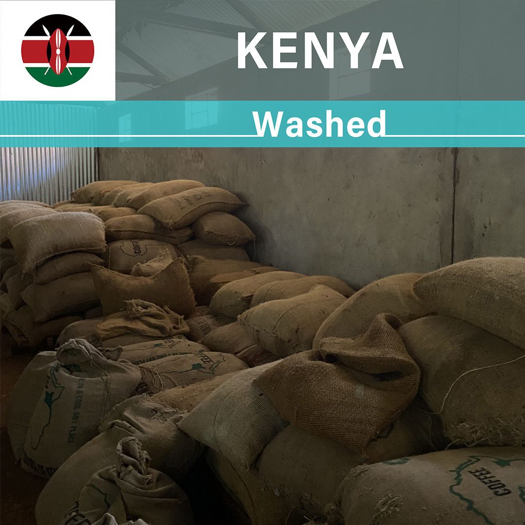 Kenya Kaguyu Washed(24/25年クロップ)