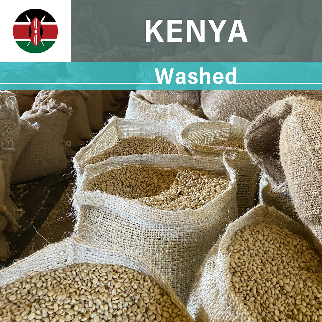 Kenya Kianjege Washed(24/25年クロップ)