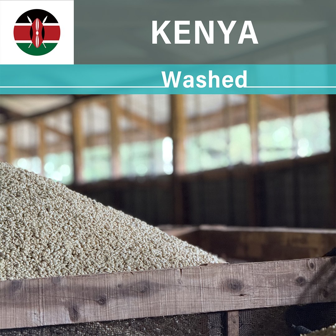 Kenya Kiandu Washed(25/26年クロップ)
