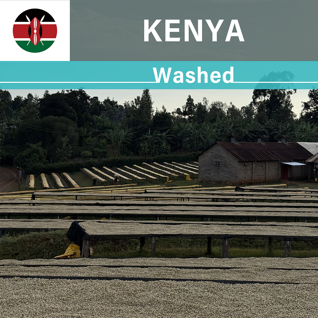 Kenya Guama Washed(25/26年クロップ)