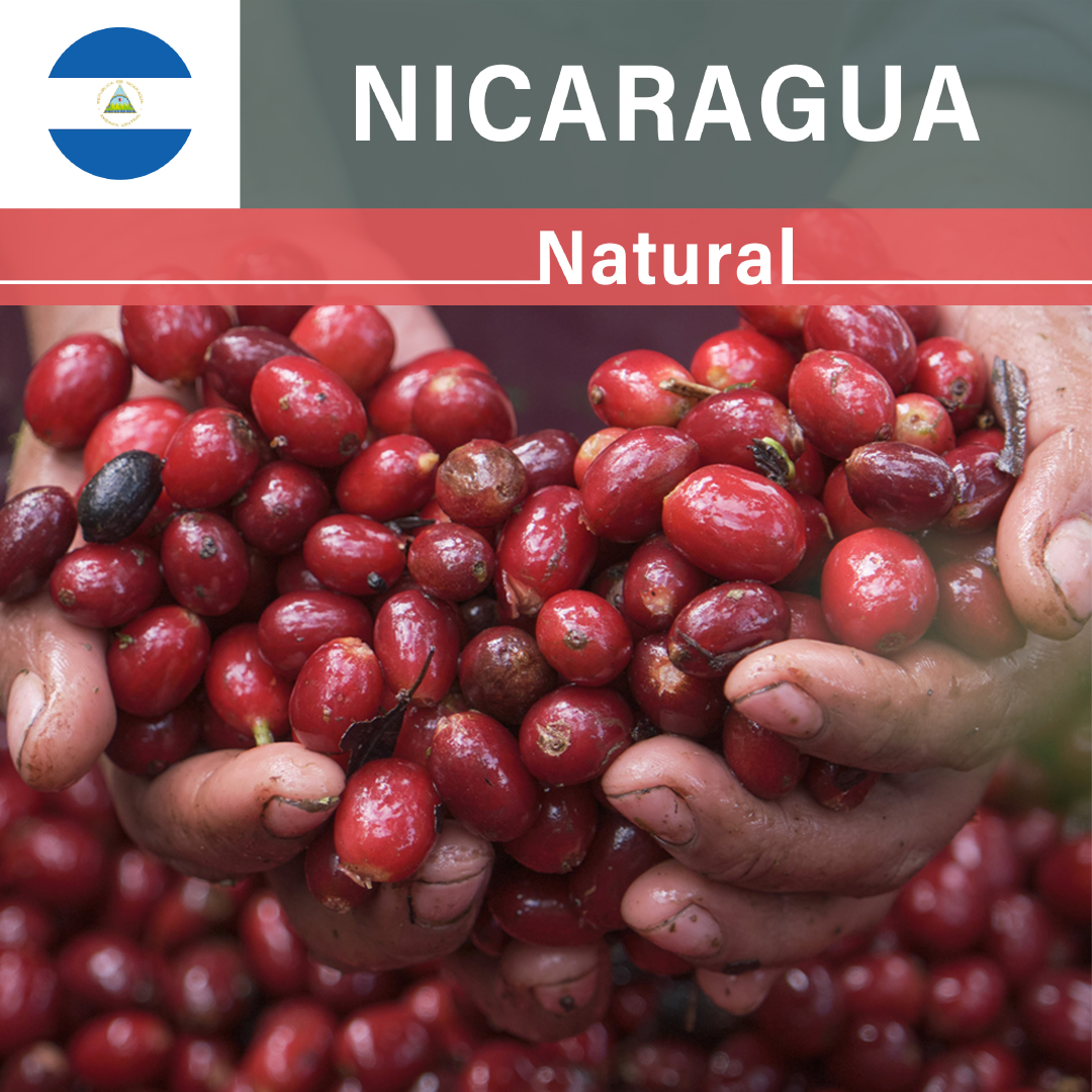 Nicaragua Las Delicias Natural(22/23年クロップ)