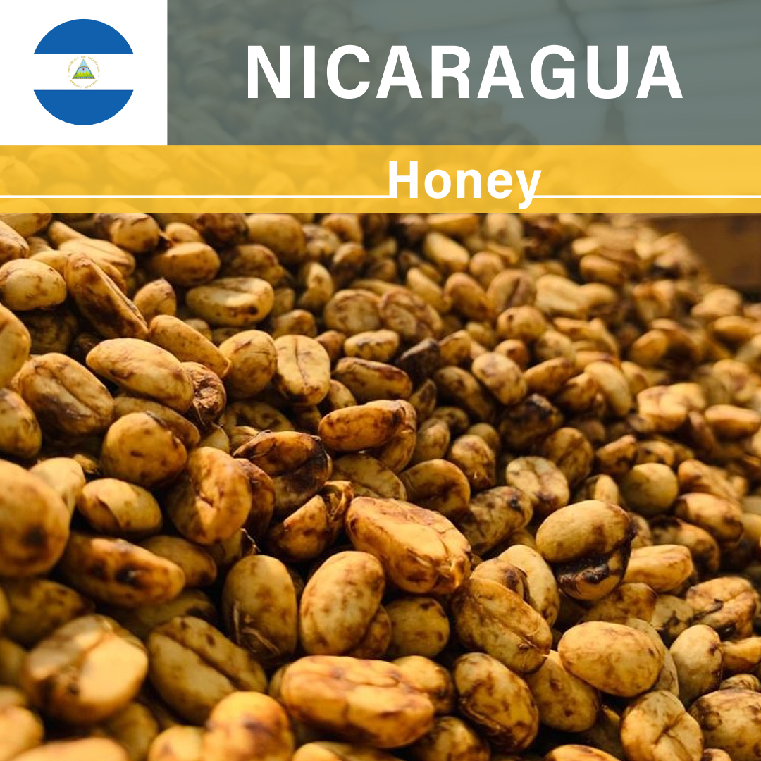 Nicaragua Los Placeres Honey(22/23年クロップ)