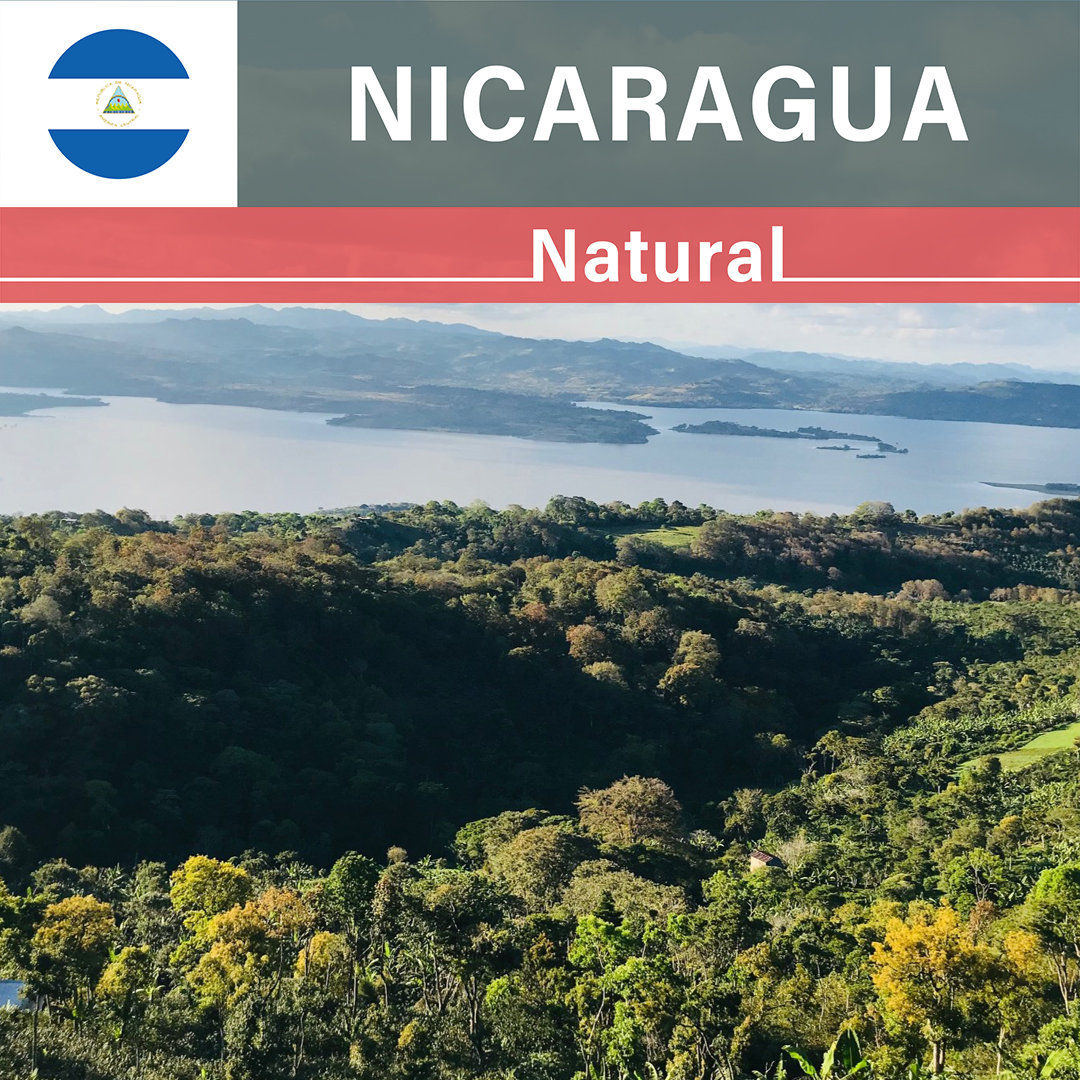 Nicaragua Las Delicias Natural(23/24年クロップ)