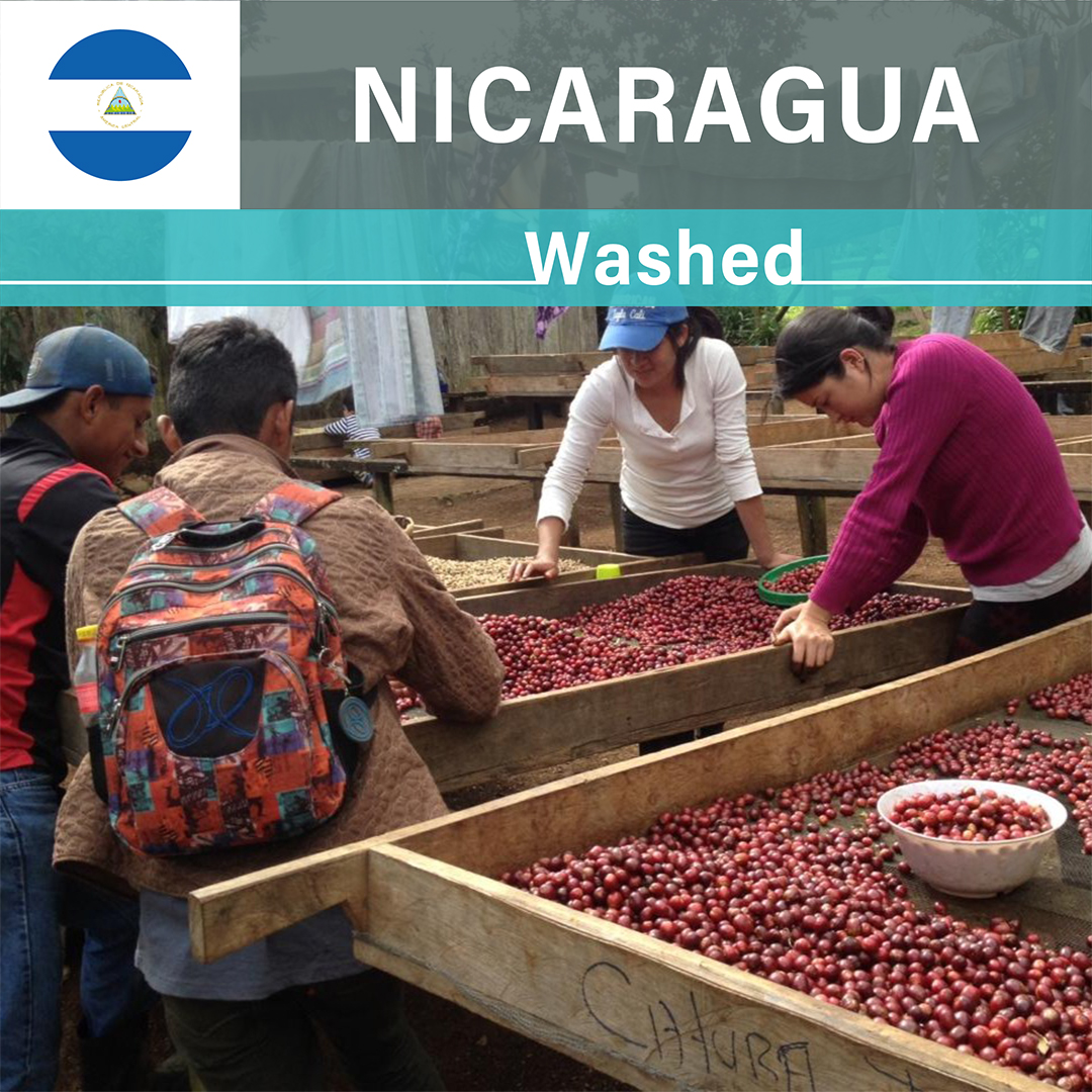 Nicaragua Jinotega Washed(25/26年クロップ)
