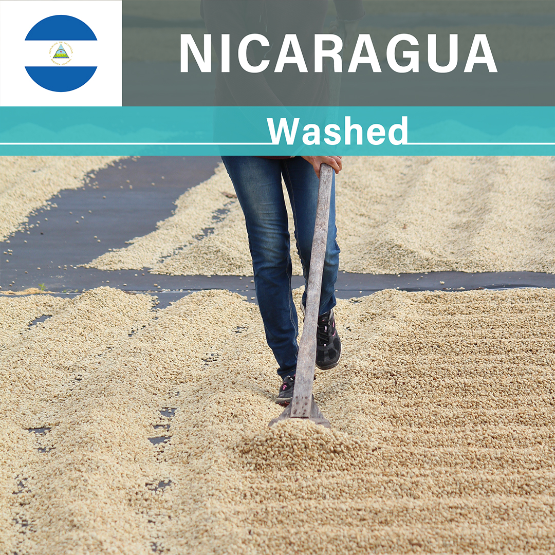 Nicaragua Las Delicias Geisha Washed(25/26年クロップ)