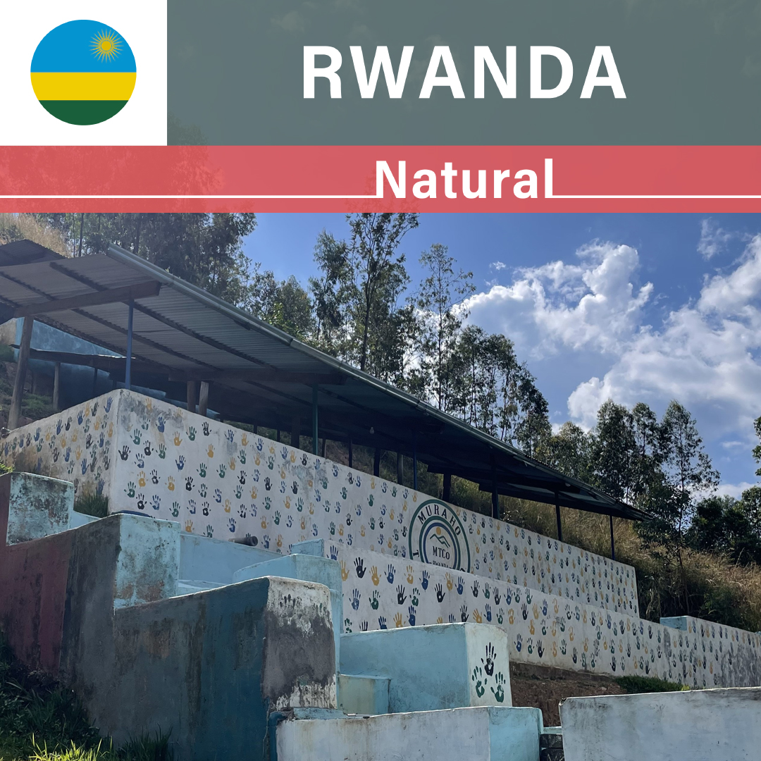 Rwanda Cyesha CWS Natural(22/23年クロップ)