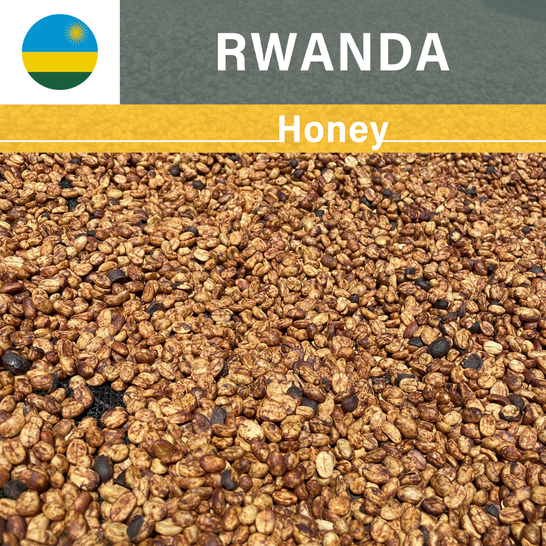 Rwanda Gito Honey(22/23年クロップ)