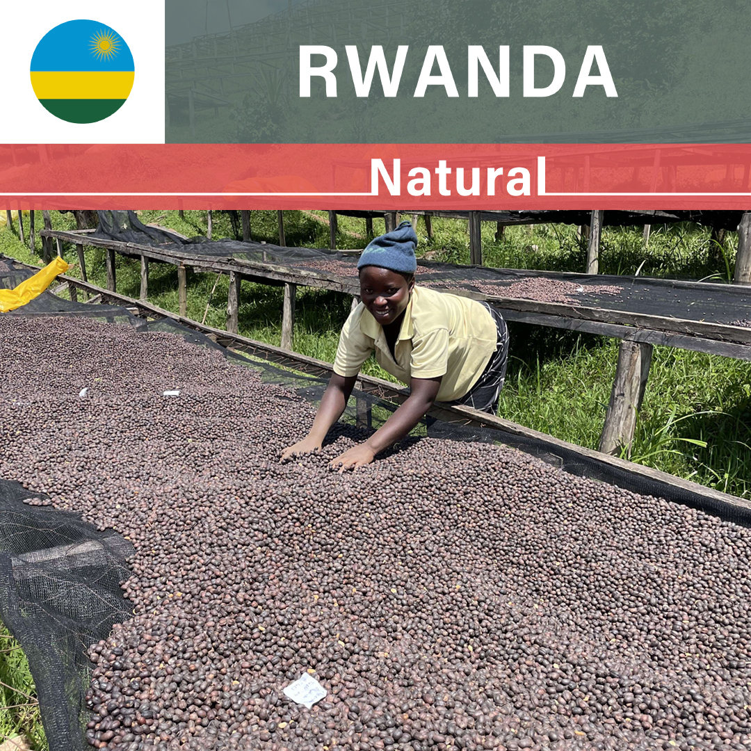 Rwanda Gito Natural(22/23年クロップ)