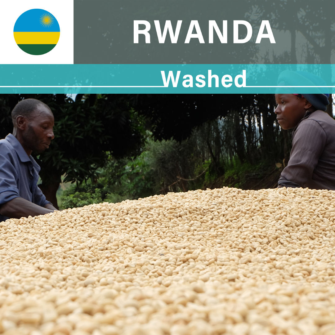 Rwanda Rugali CWS Washed(22/23年クロップ)