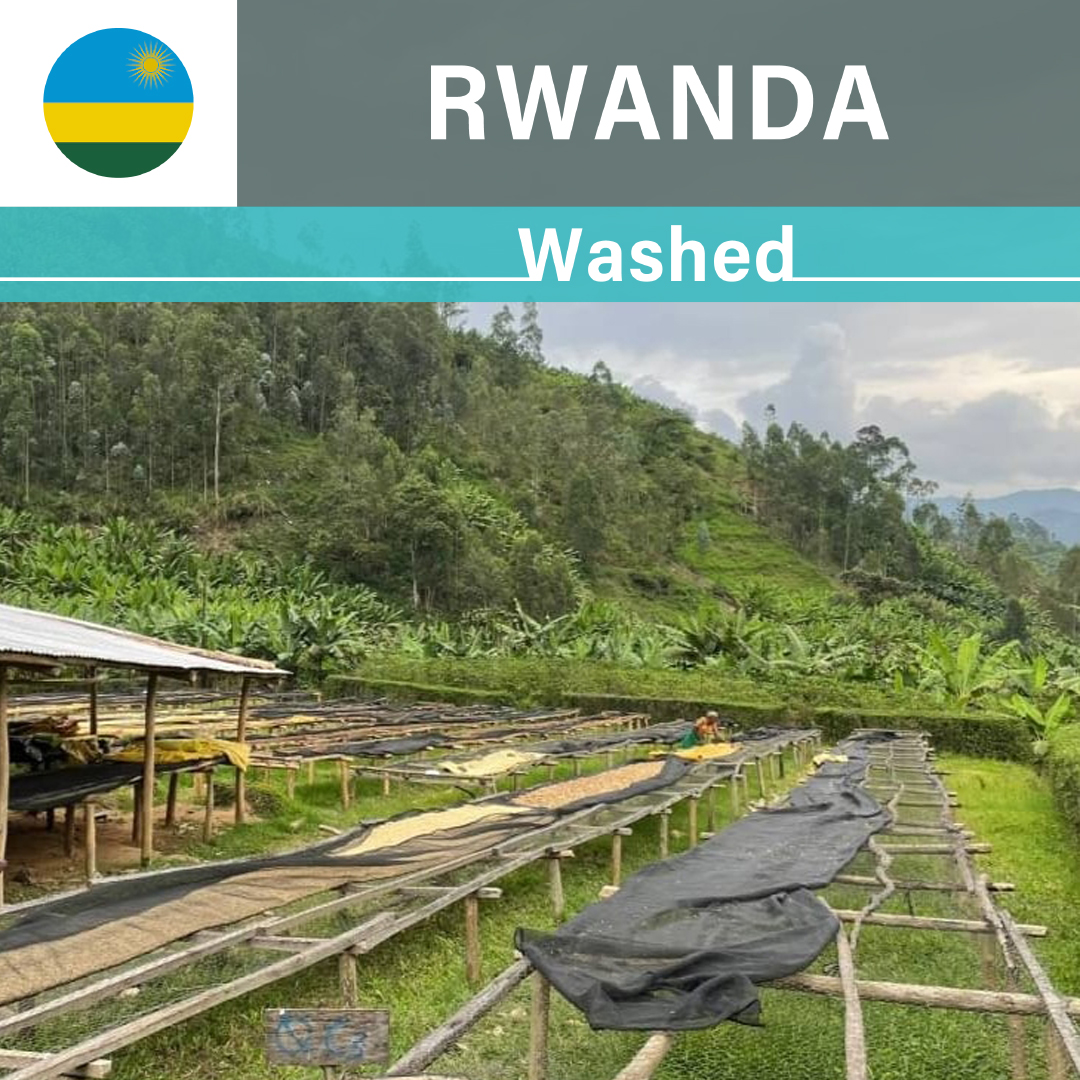 Rwanda Vunga CWS Washed(22/23年クロップ)