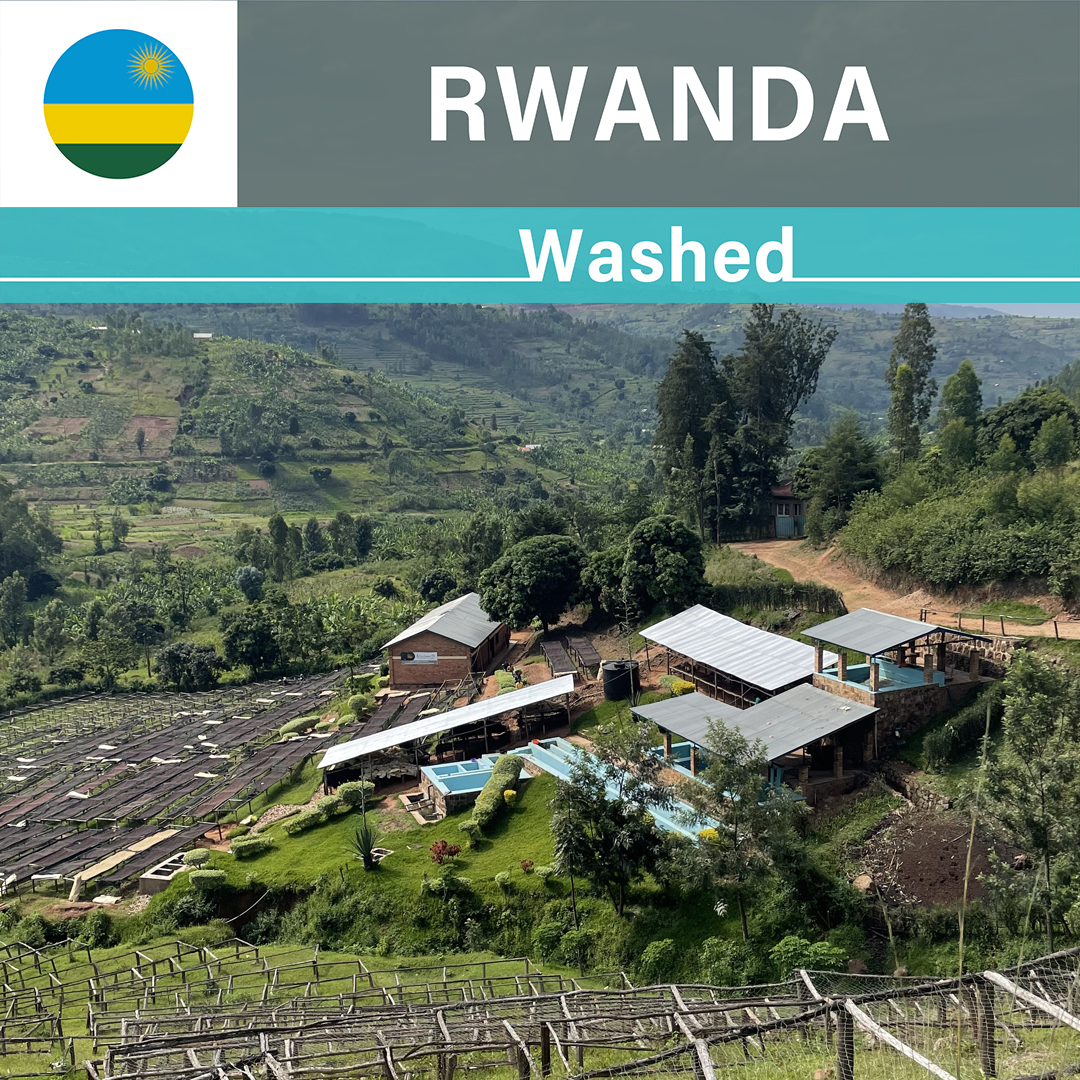 Rwanda Bumbogo Washed(23/24年クロップ)