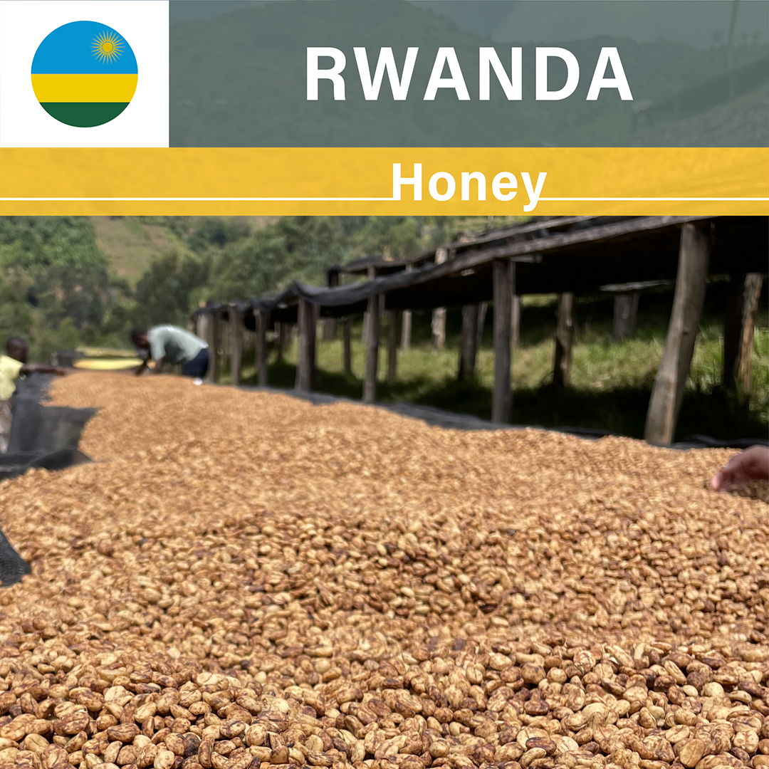 Rwanda Kilimbi Honey(23/24年クロップ)