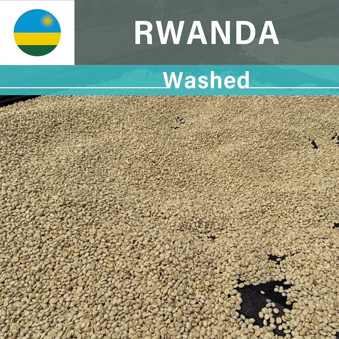Rwanda Gito Washed(24/25年クロップ)